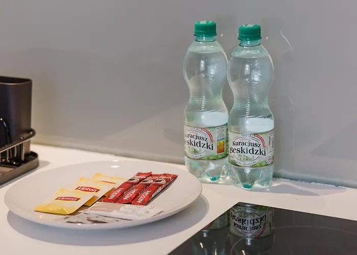 Wilson Park Loft With Mezzanine By Bookinghost * Poznan